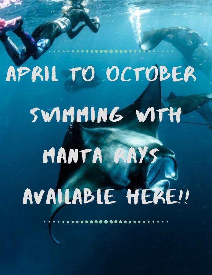White Sandy Beach-Best Manta Snorkeling Tethi Ngoại thất bức ảnh